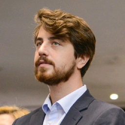 Dr. Nika Chitishvili