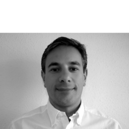 Ing. Diego Neila Gómez