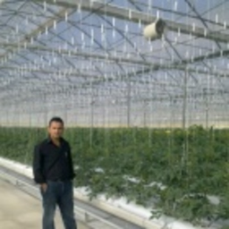 Mehmet Taş