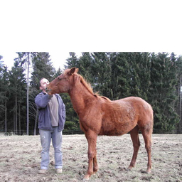 Werner Eiser
