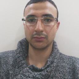 Murat Fatih DEMİR