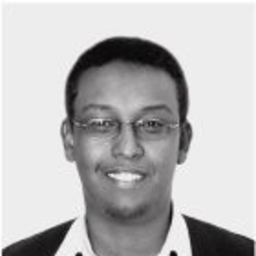 Ing. Anwar Abdi
