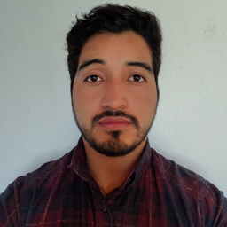Alfredo Luna Luis