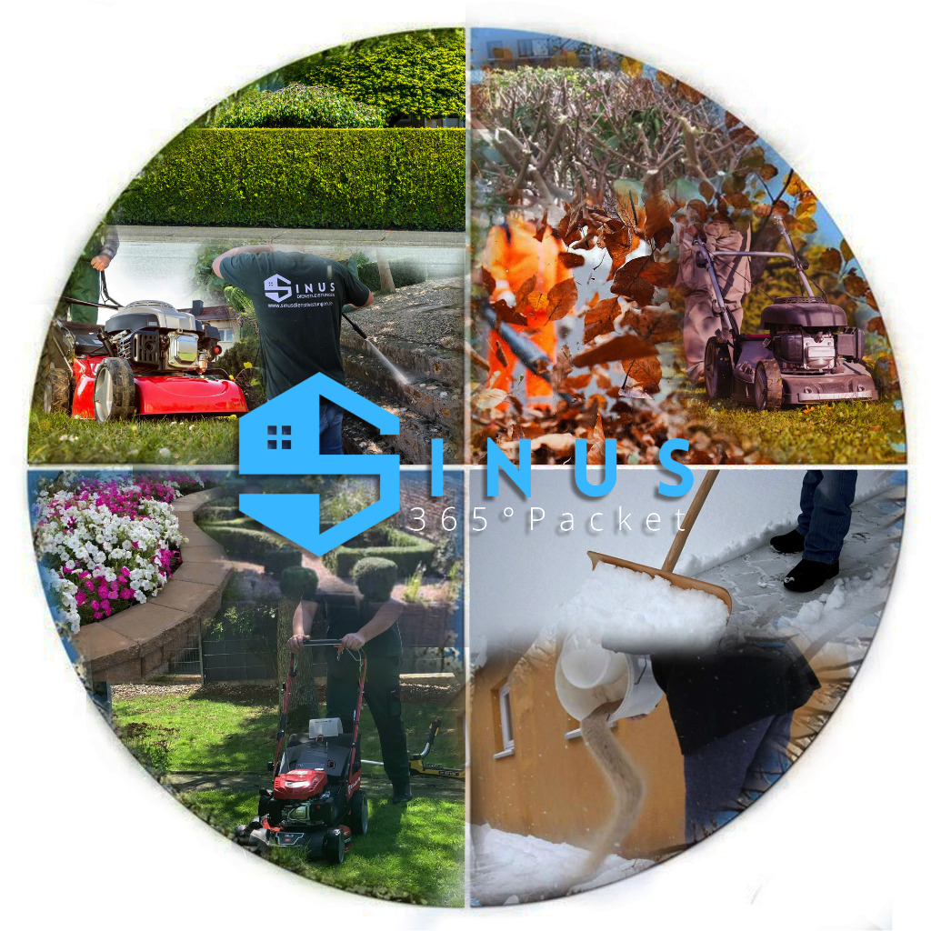 Mansour Youssef - Dienstleister - Sinus Dienstleistungen | XING