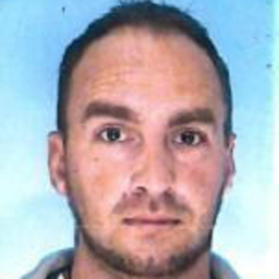Michael Stein