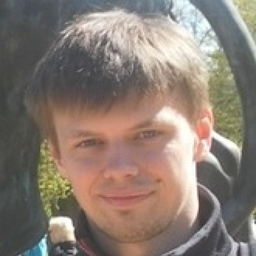Denis Berezin's profile picture