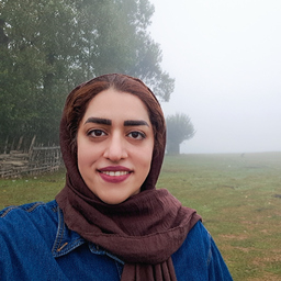 Rahil Moein