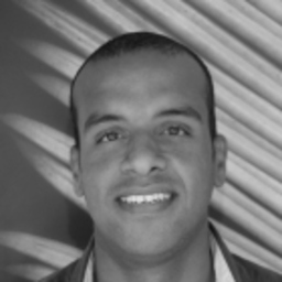 Ayman Hamed