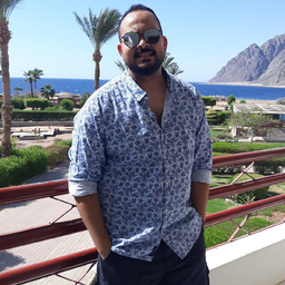 Mostafa Ibrahim