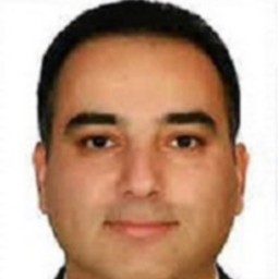 Saeid Goodarzi