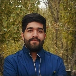 hesam sadig bayan