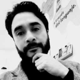 Prof. Pavel Valdés Pérez