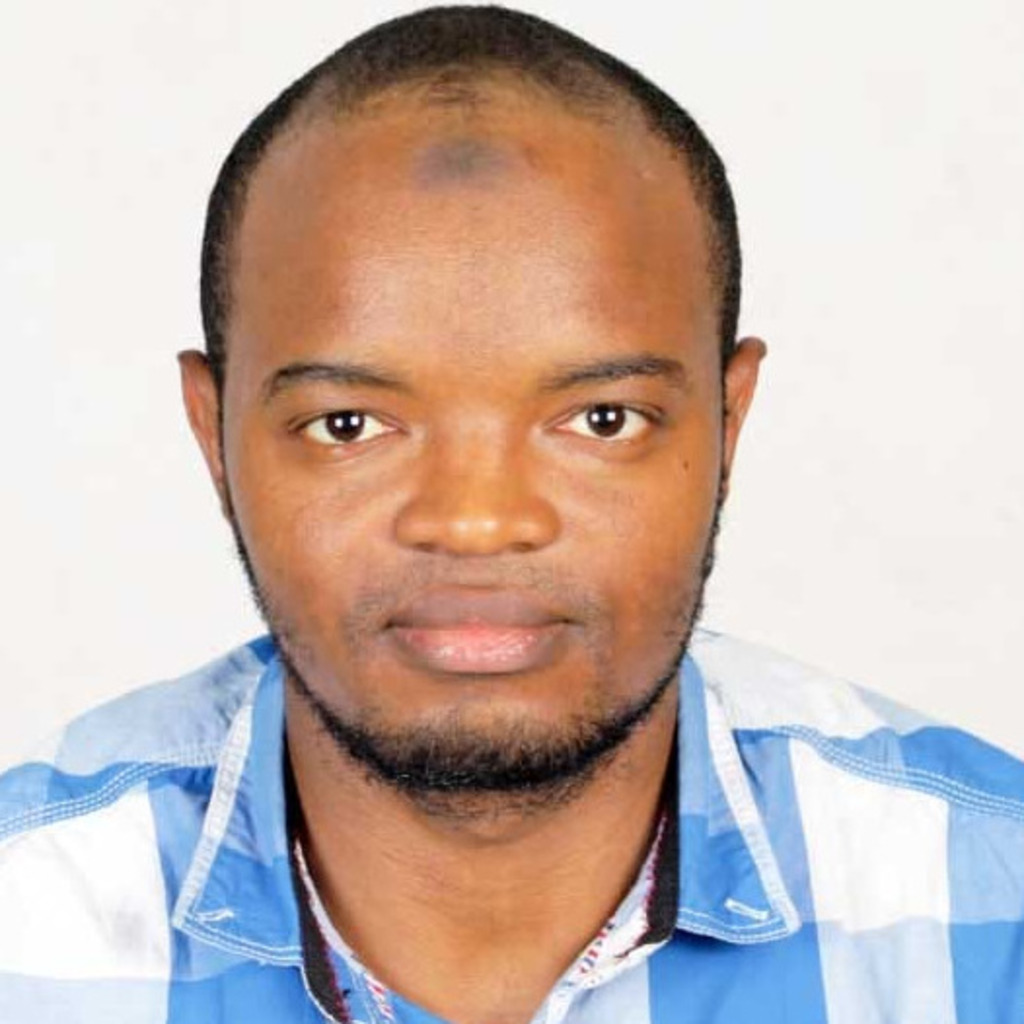 Mamadou Hady Diallo - Software Developer - SAT Groupe | XING