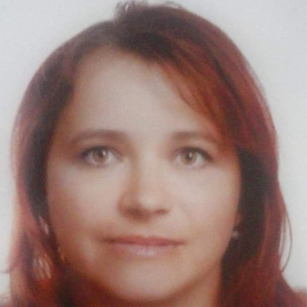 Andreja Novak Ausbildung und Berufserfahrung XING