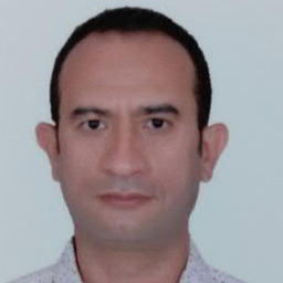 Hassan Saleh