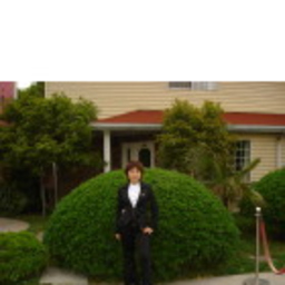 蕾 张