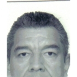 victor ruiz castillo