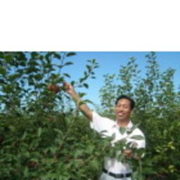 殿英 张