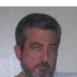 luis FERNANDEZ