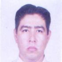 Prof. Erick F. Dominguez Balbuena