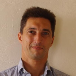 Roman Engl