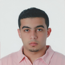 Ehab Basuoni