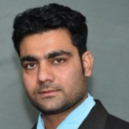 vineet pareek