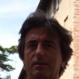 Mario Pagani