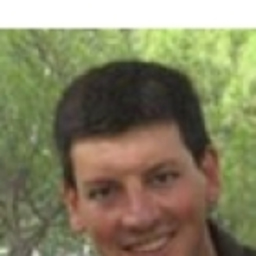 FRANCISCO SOLER GARCIA