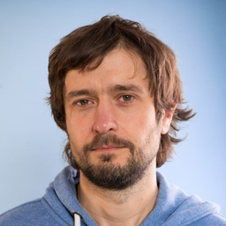 Ilia Brykin's profile picture