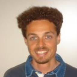 FABRIZIO VIALE