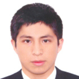 Leonardo Flavio Curi Arana