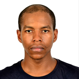 Mangaliso Msibi
