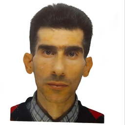 Meisam Rezaeimonfared
