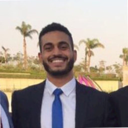 Ziad Fawy