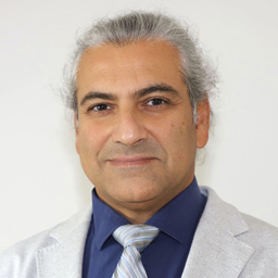 Babak Dashtban's profile picture