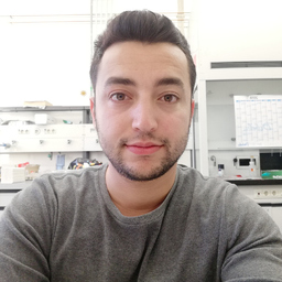 siamak Rouzmeh