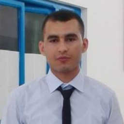 RAOUF  BEN KHALED 