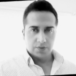 Profilbild Saeed Zamanian