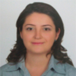Duygu Nazire Kaşıkcı