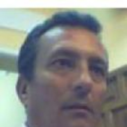 Fernando dominguez monis