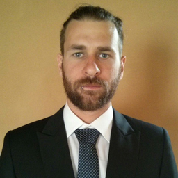 Fabian Steffen