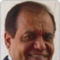 ARMANDO MARTINEZ ROSALES