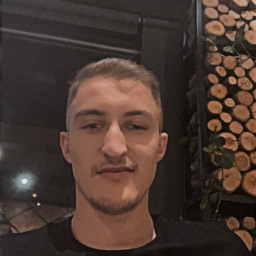 Premtim januzi