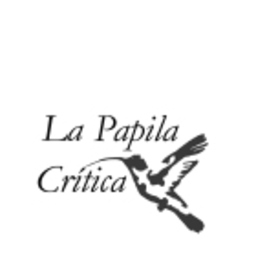La Papila Critica