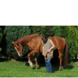 Andrea Hoffmann's profile picture