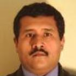 Fernando Edgar Llerena Canales