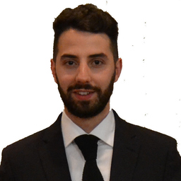 Dipl.-Ing. Enzo Carucci's profile picture