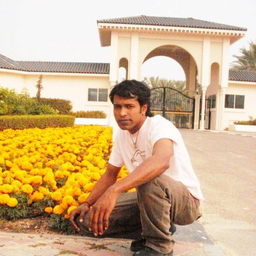 Nipun Biswas