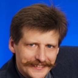 Ingo Plättner's profile picture